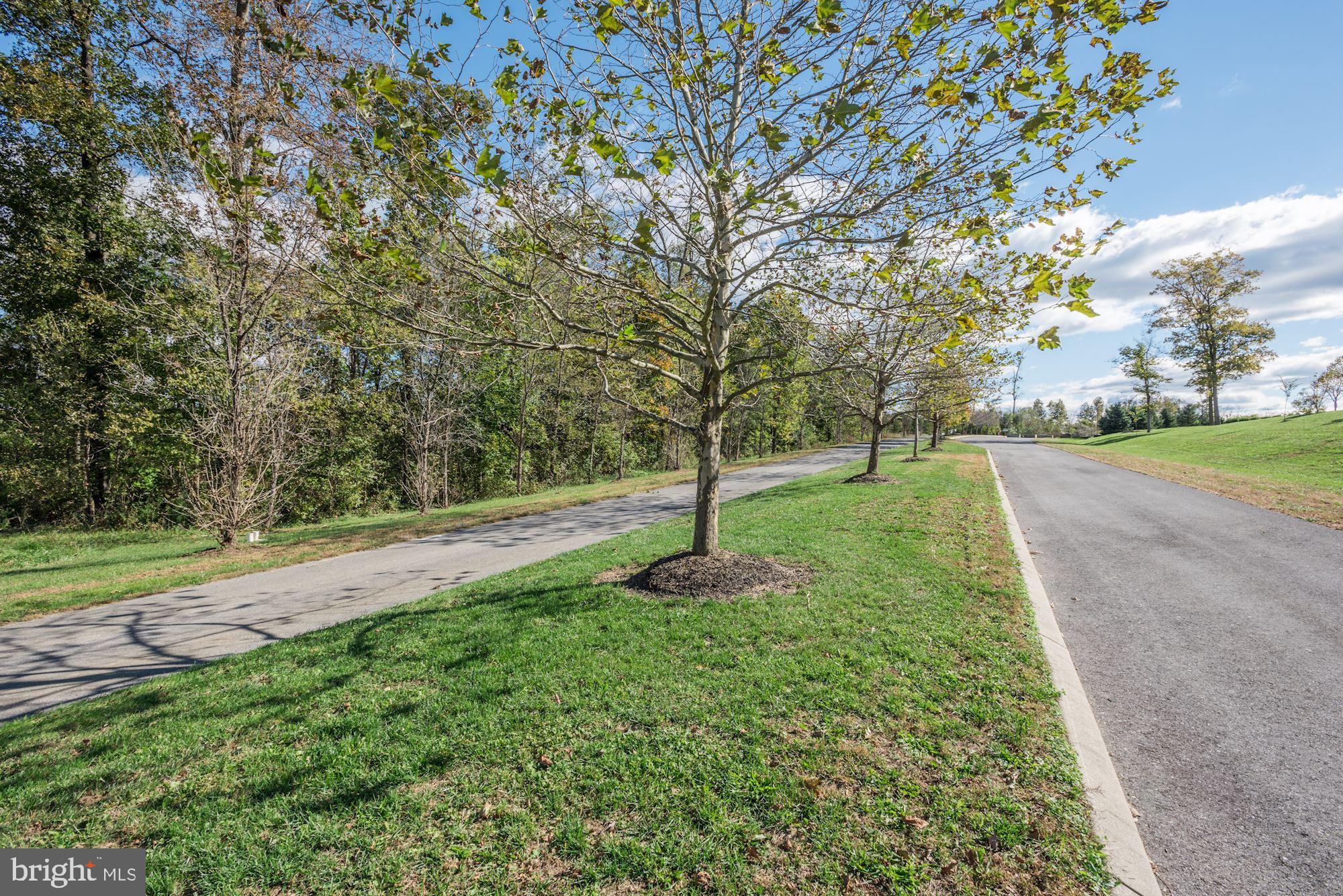 THE LAKES AT MARTINSBURG - Residential