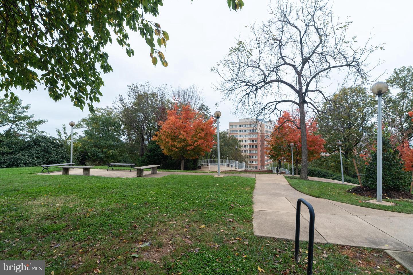 THE REPRESENTATIVE - Residential Lease