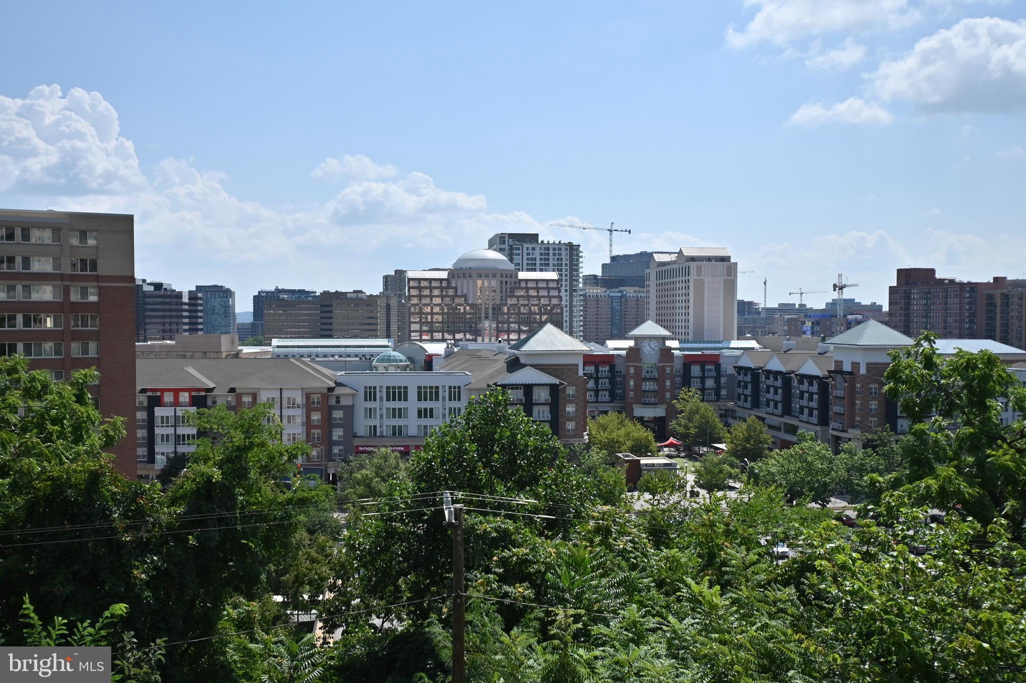 THE REPRESENTATIVE - Residential Lease