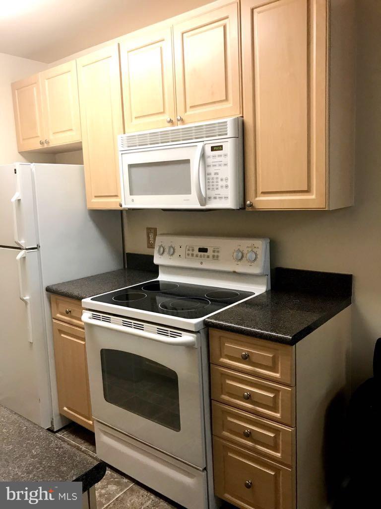 THE FAIRMONT 1005 CONDO - Residential Lease