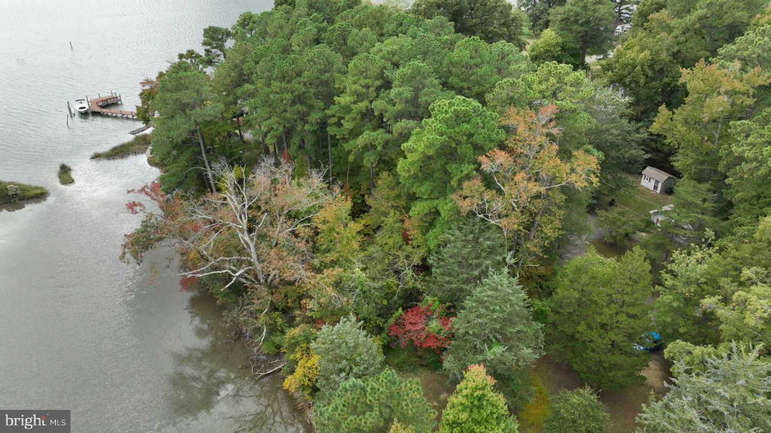 SHANNON PARK BEACH - Land