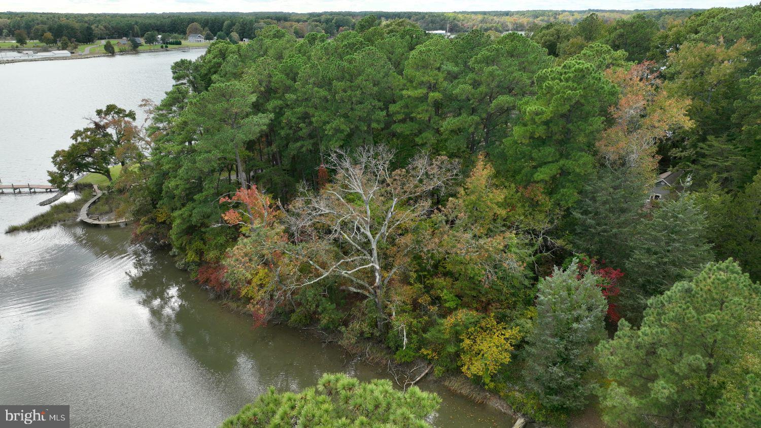 SHANNON PARK BEACH - Land
