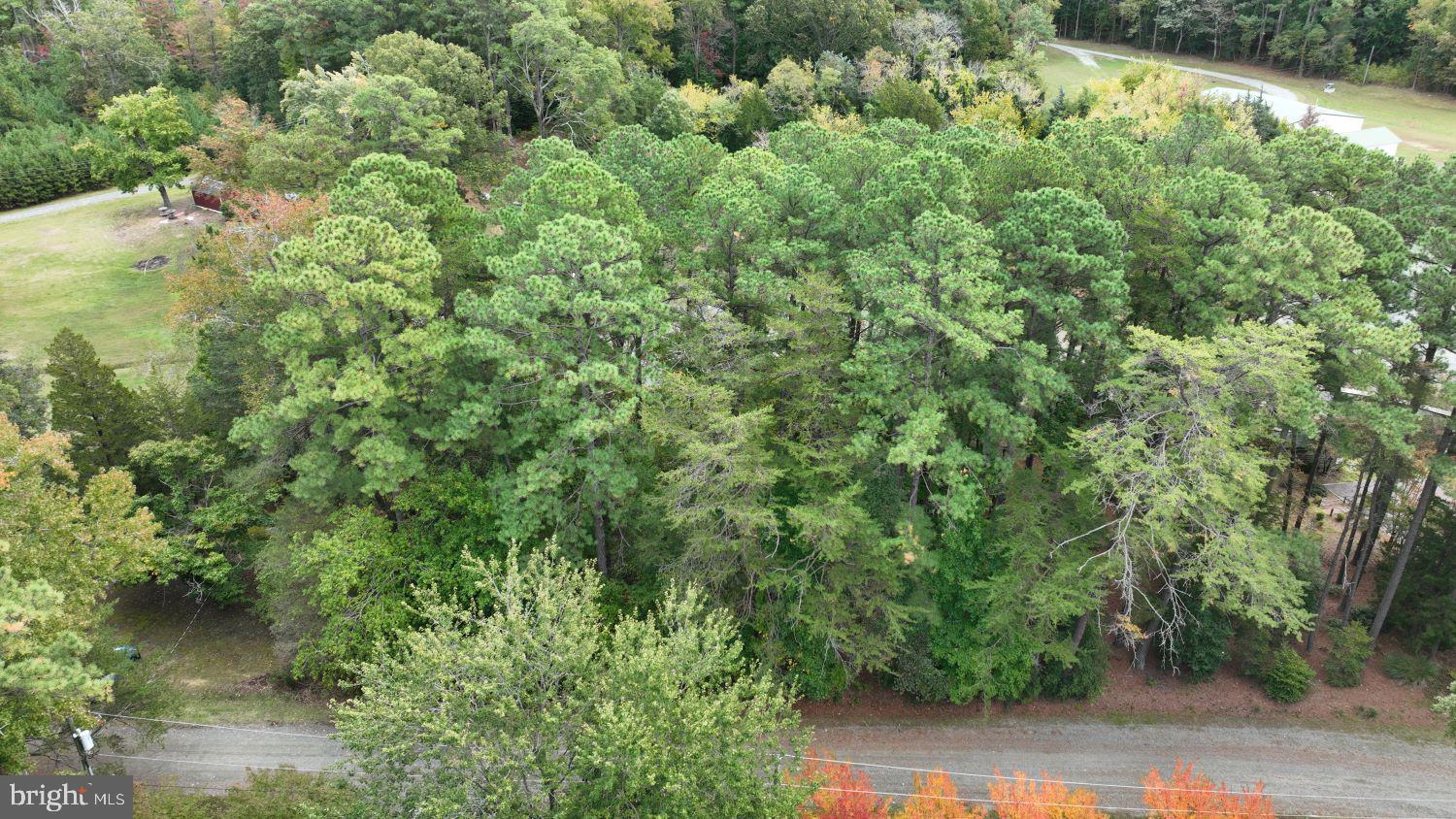 SHANNON PARK BEACH - Land