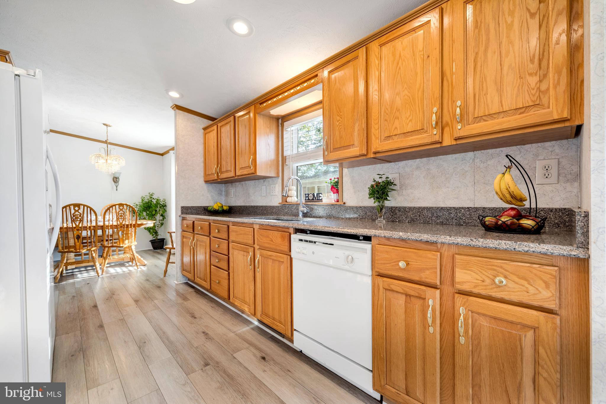 VILLAGE SCENE TR P - Residential