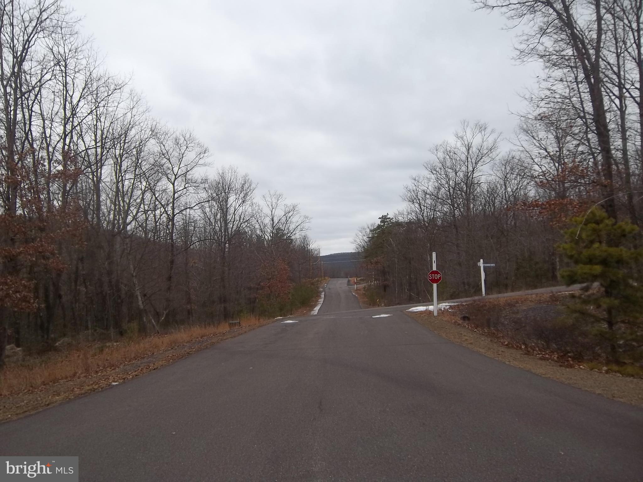 42 CHIPPEWA DRIVE LOT 163 WSS