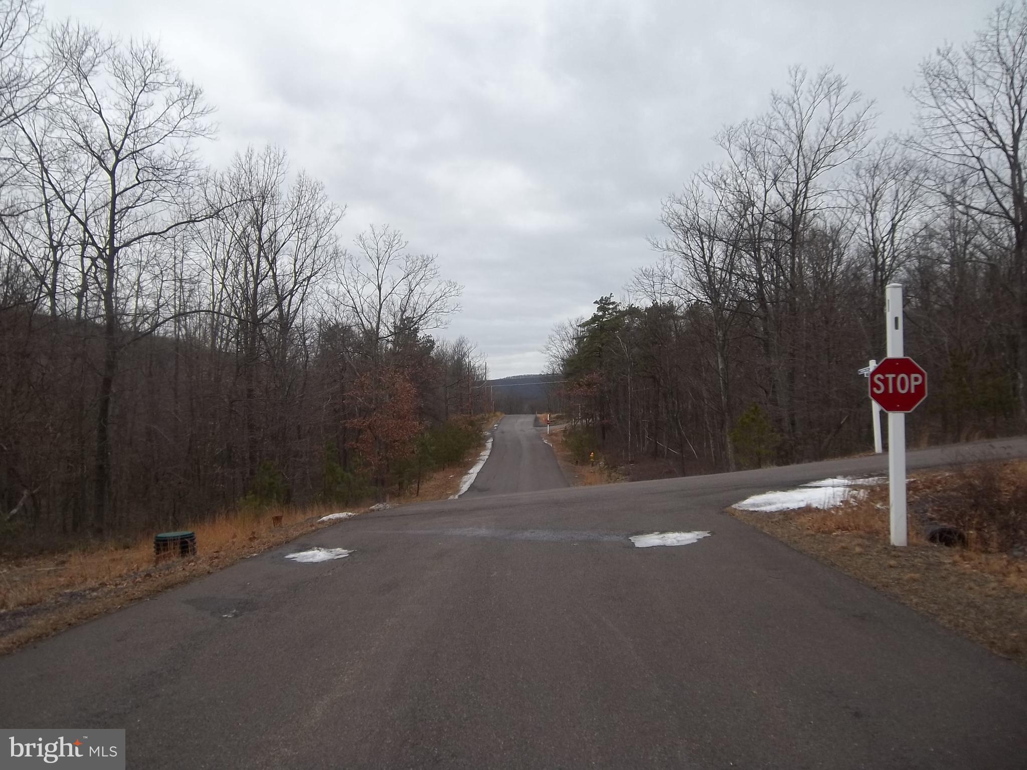 42 CHIPPEWA DRIVE LOT 163 WSS