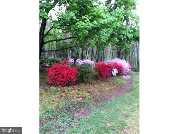 LITTLE BRITAIN TWP - Land