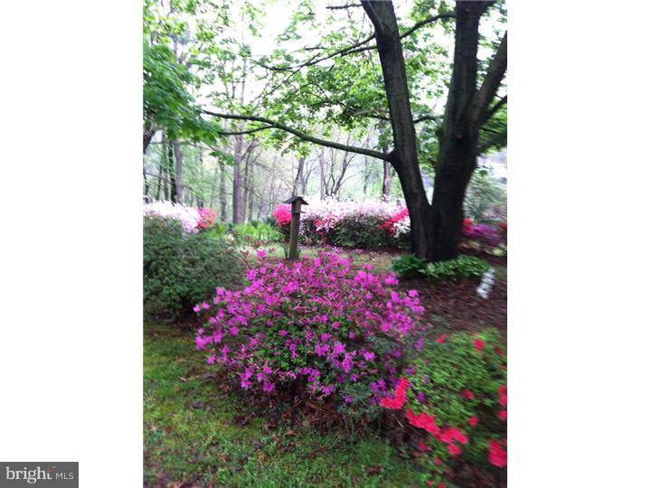 LITTLE BRITAIN TWP - Land