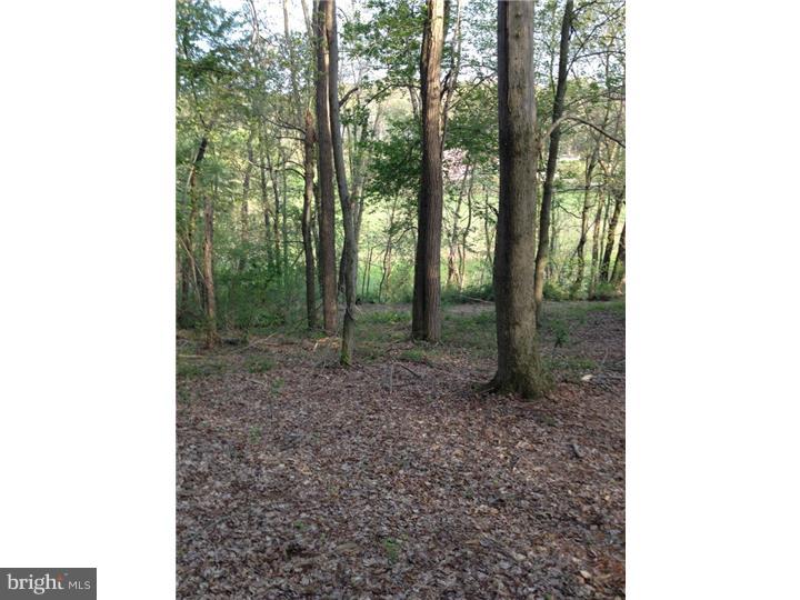 LITTLE BRITAIN TWP - Land