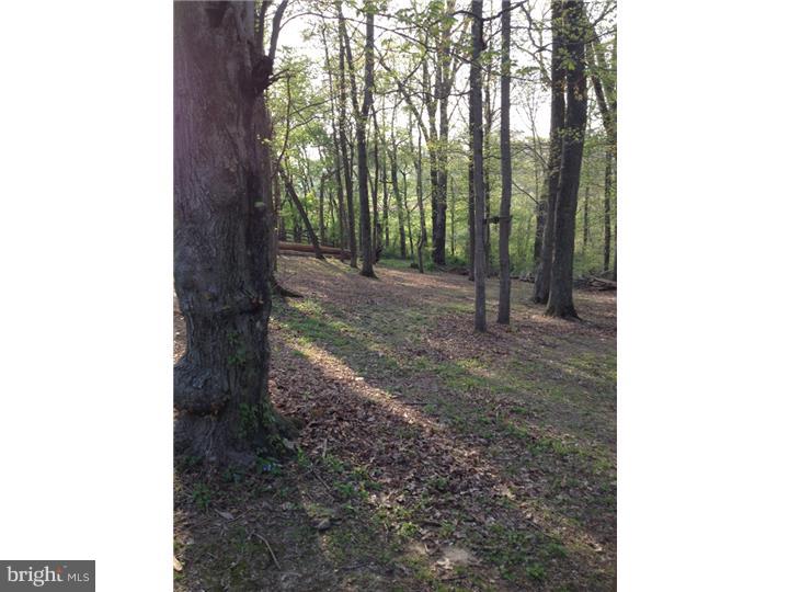 LITTLE BRITAIN TWP - Land