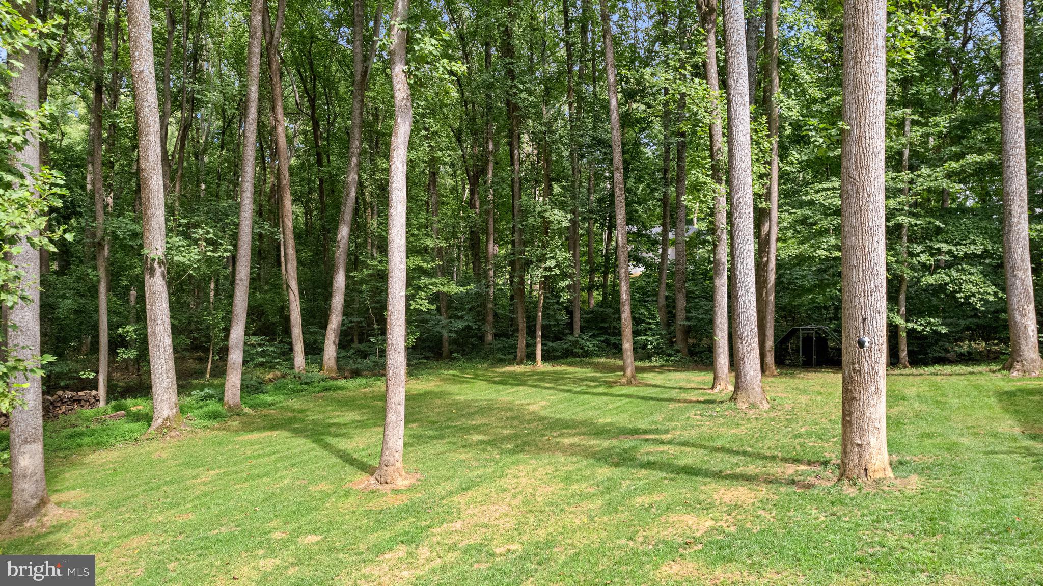 SHANNONDALE - Residential