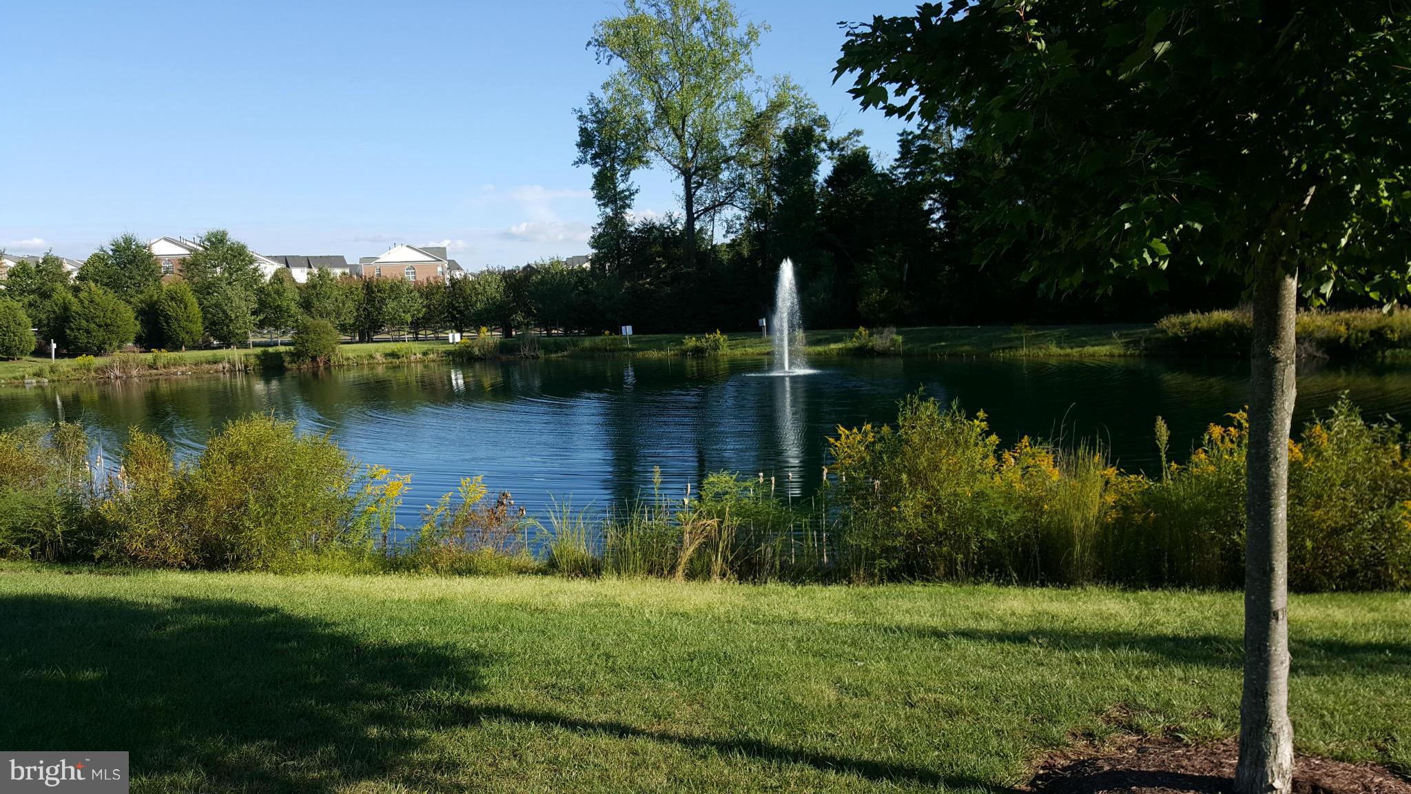 CARDINAL GROVE/EAGLES PT - Residential