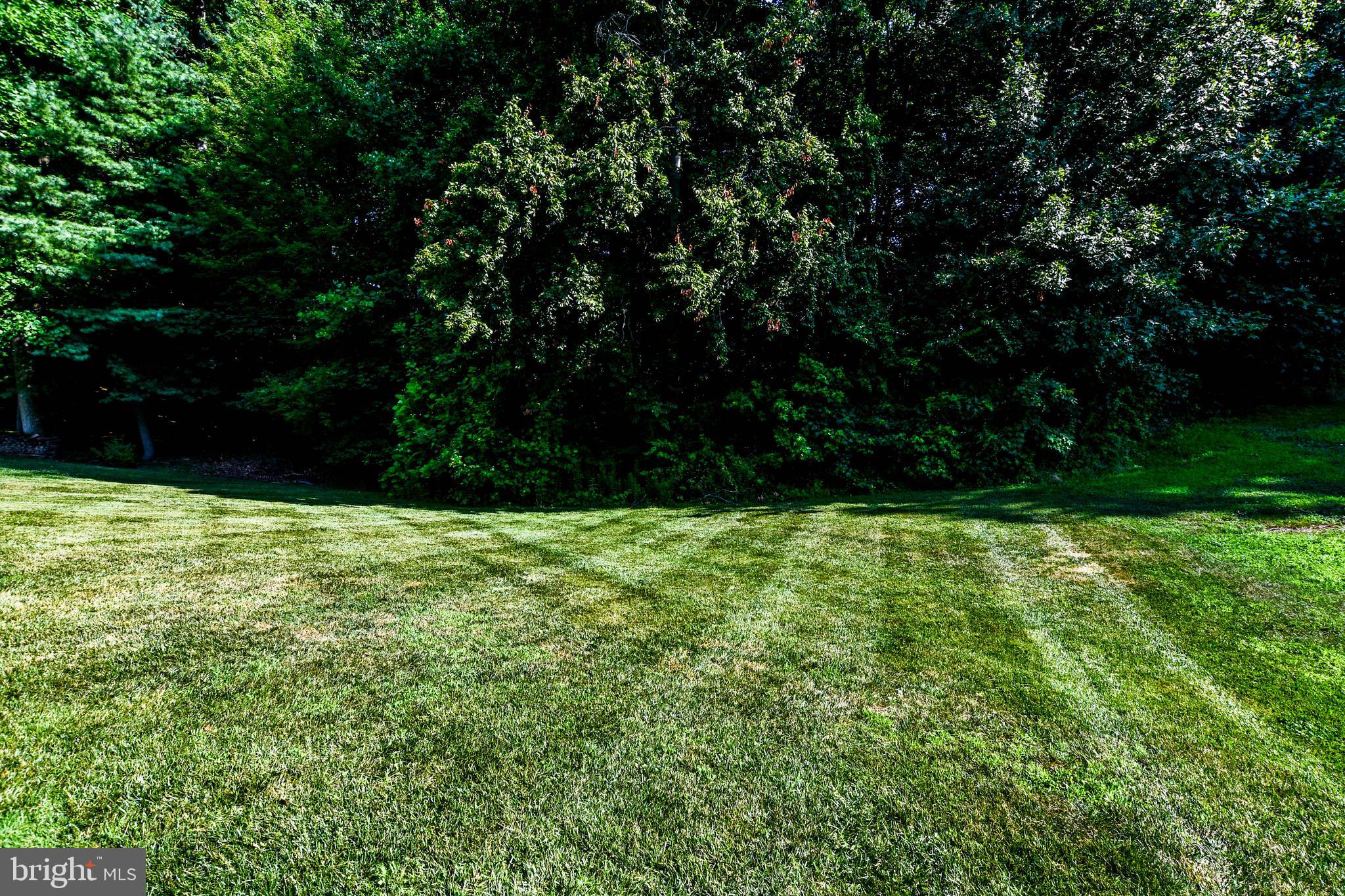 CHELTENHAM WOODS - Residential