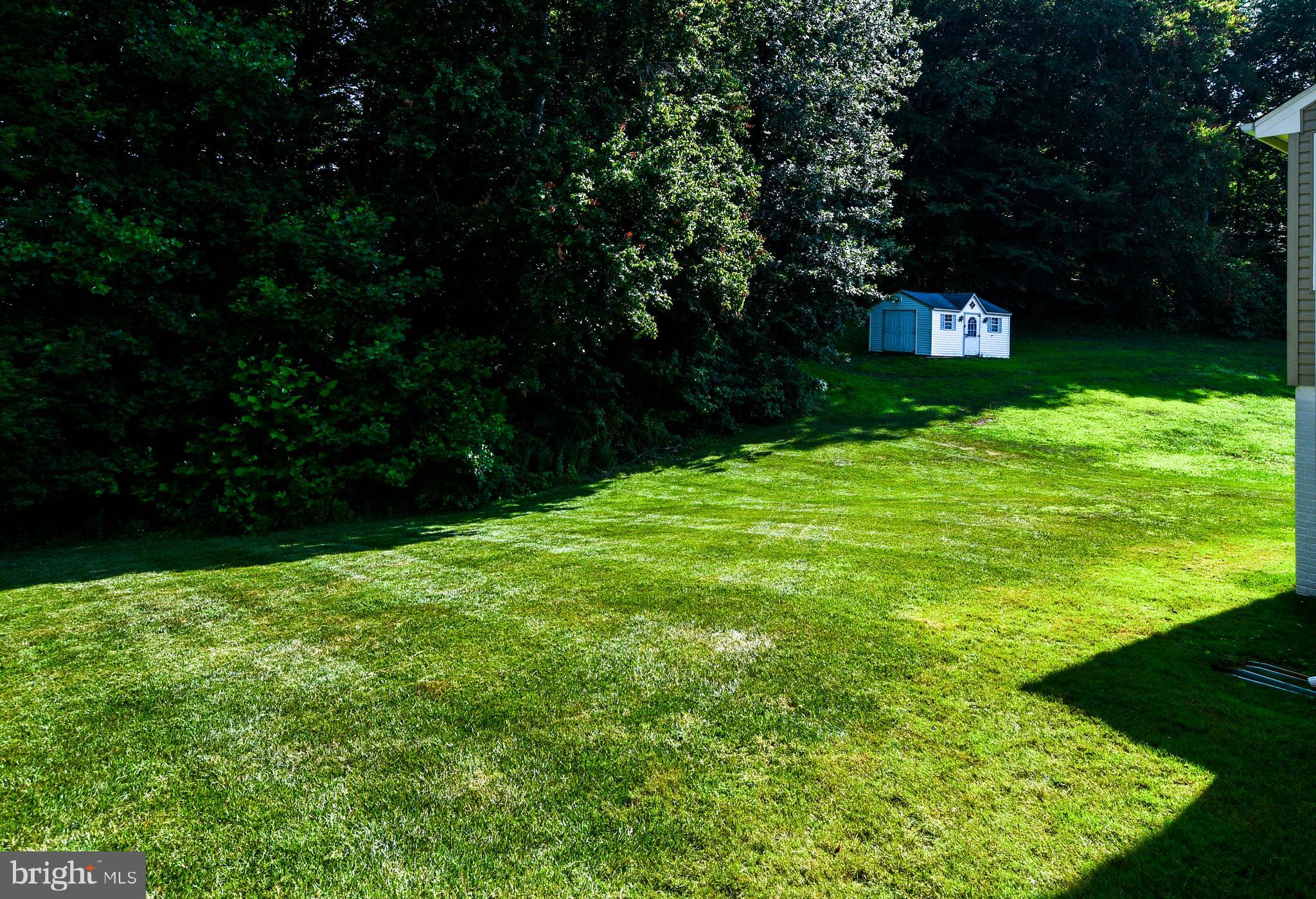 CHELTENHAM WOODS - Residential