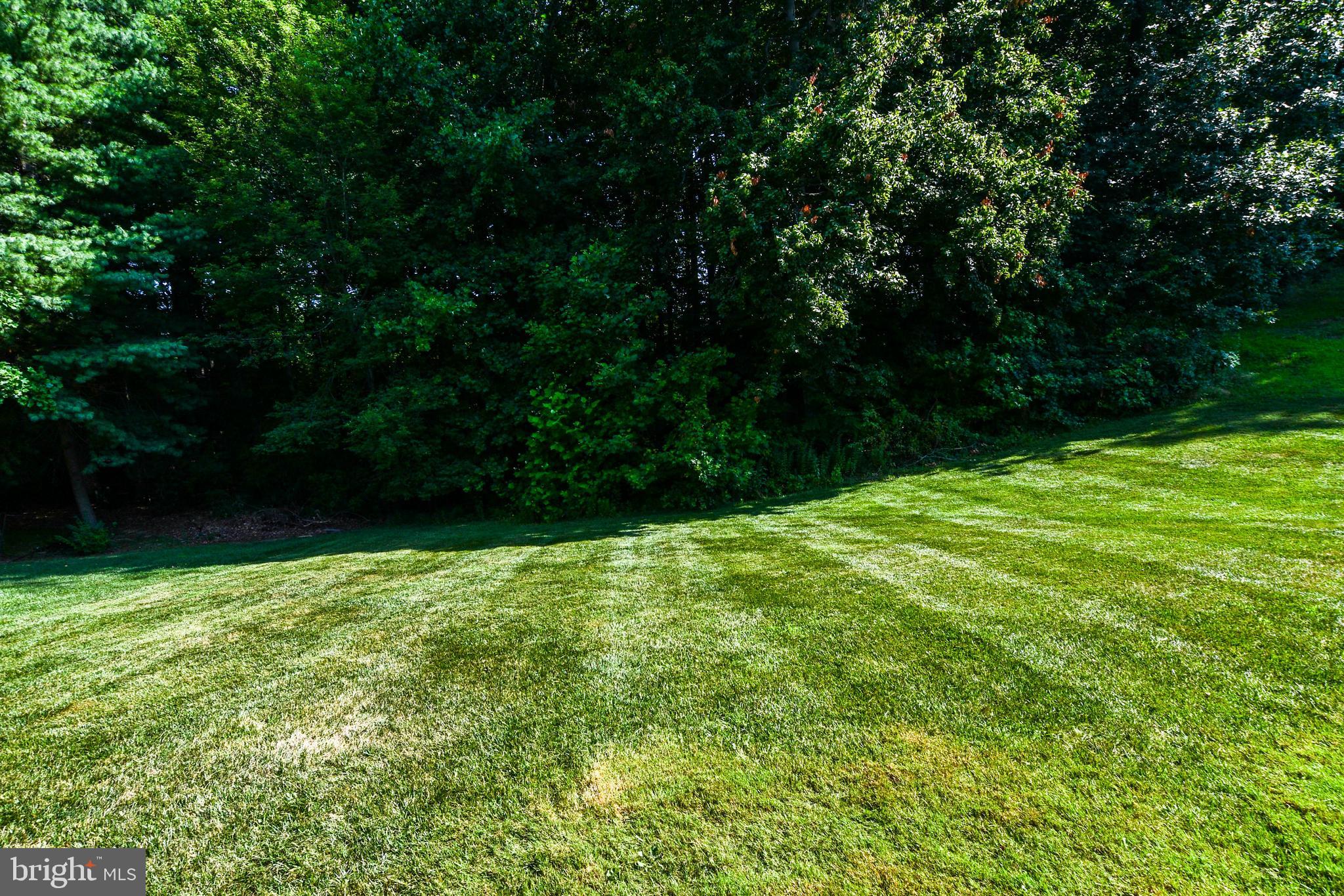 CHELTENHAM WOODS - Residential