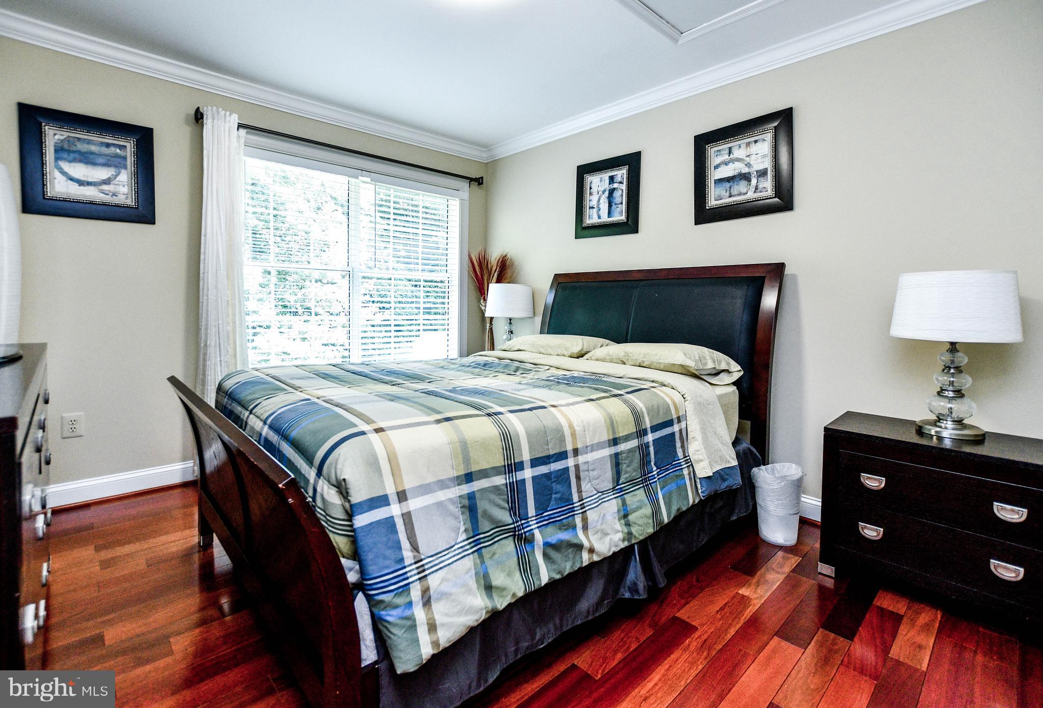 CHELTENHAM WOODS - Residential