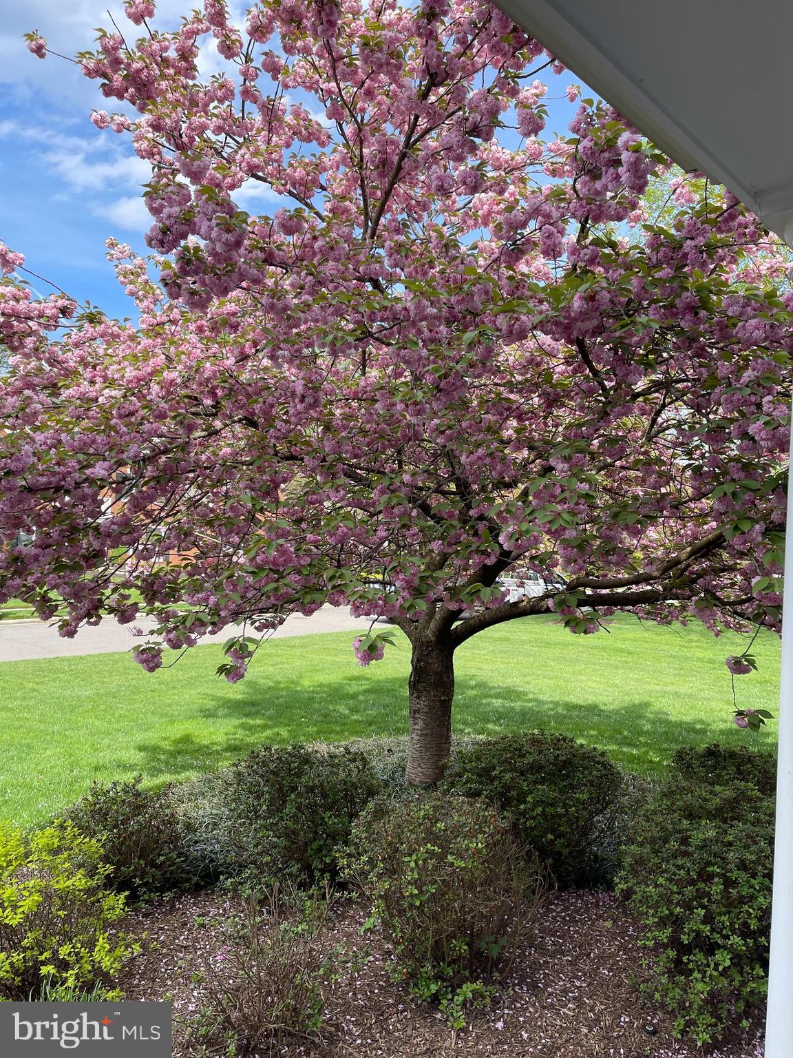 OAKTON RIDGE - Residential