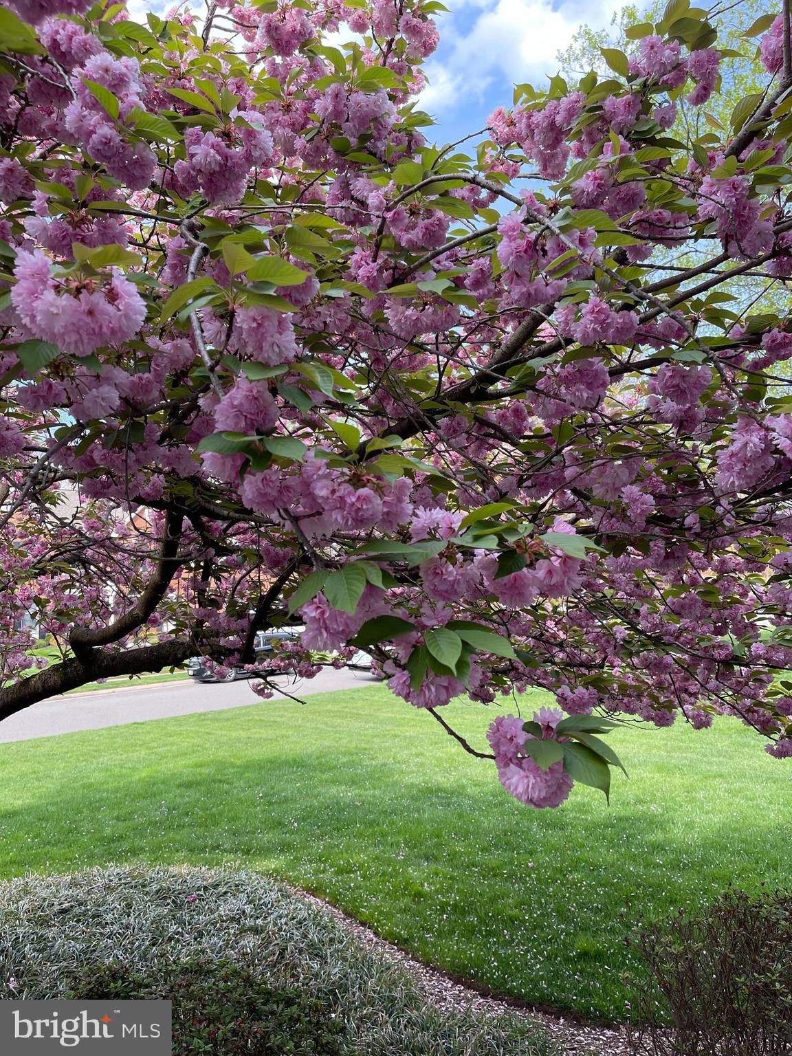 OAKTON RIDGE - Residential