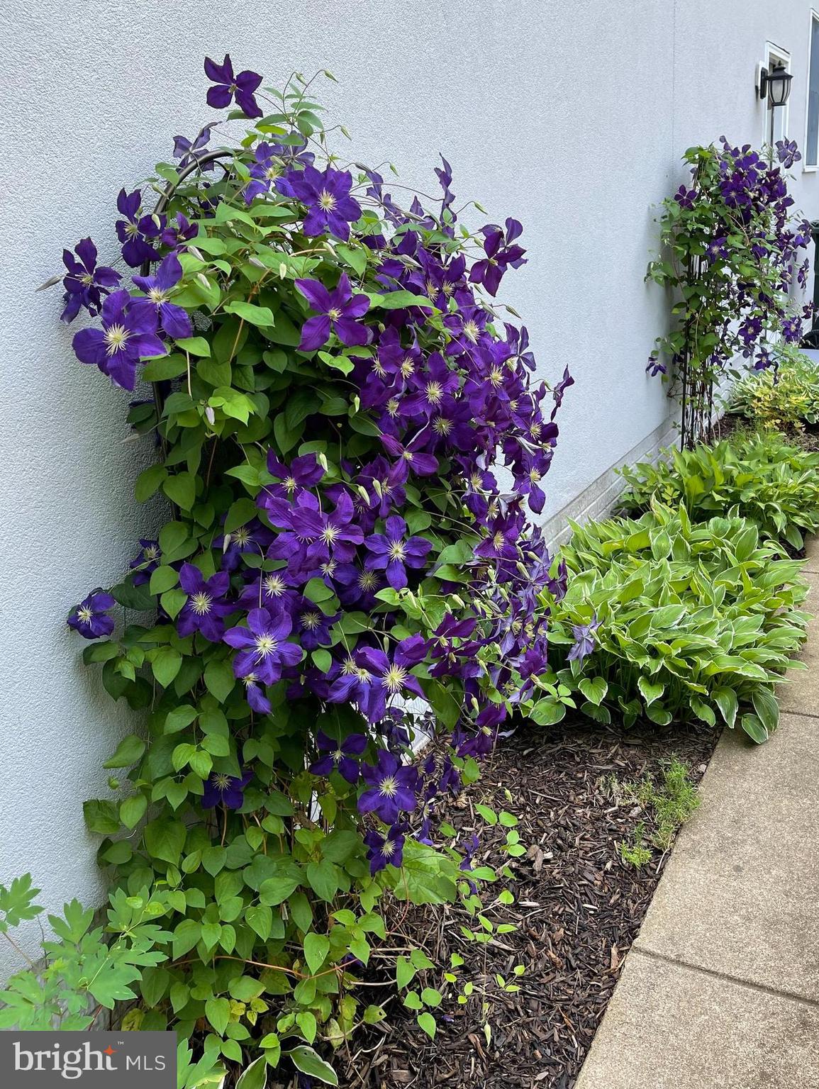 OAKTON RIDGE - Residential