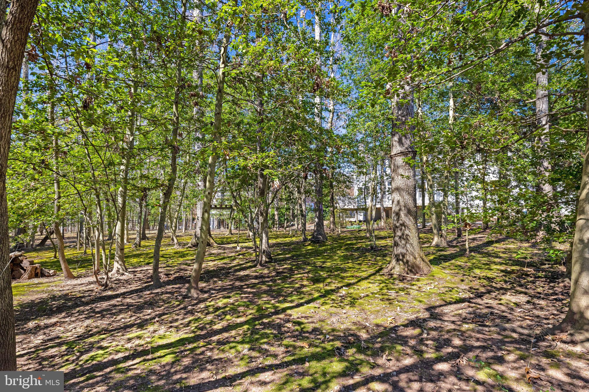 OAKTON RIDGE - Residential