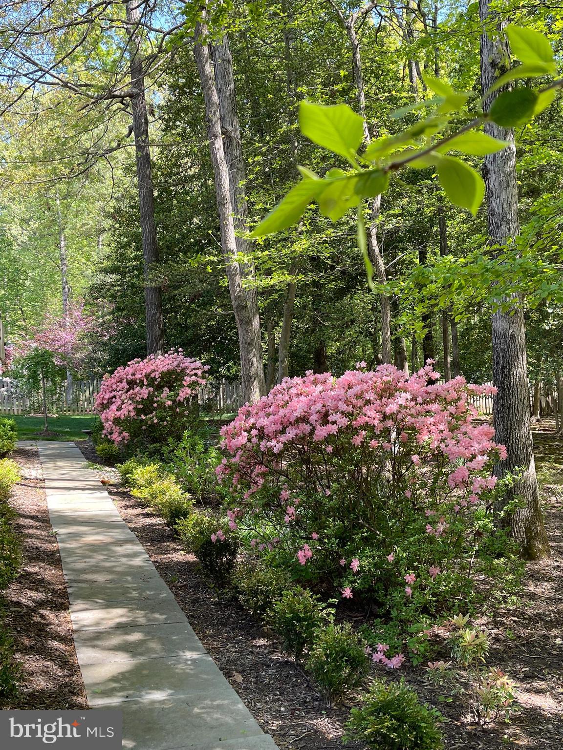 OAKTON RIDGE - Residential