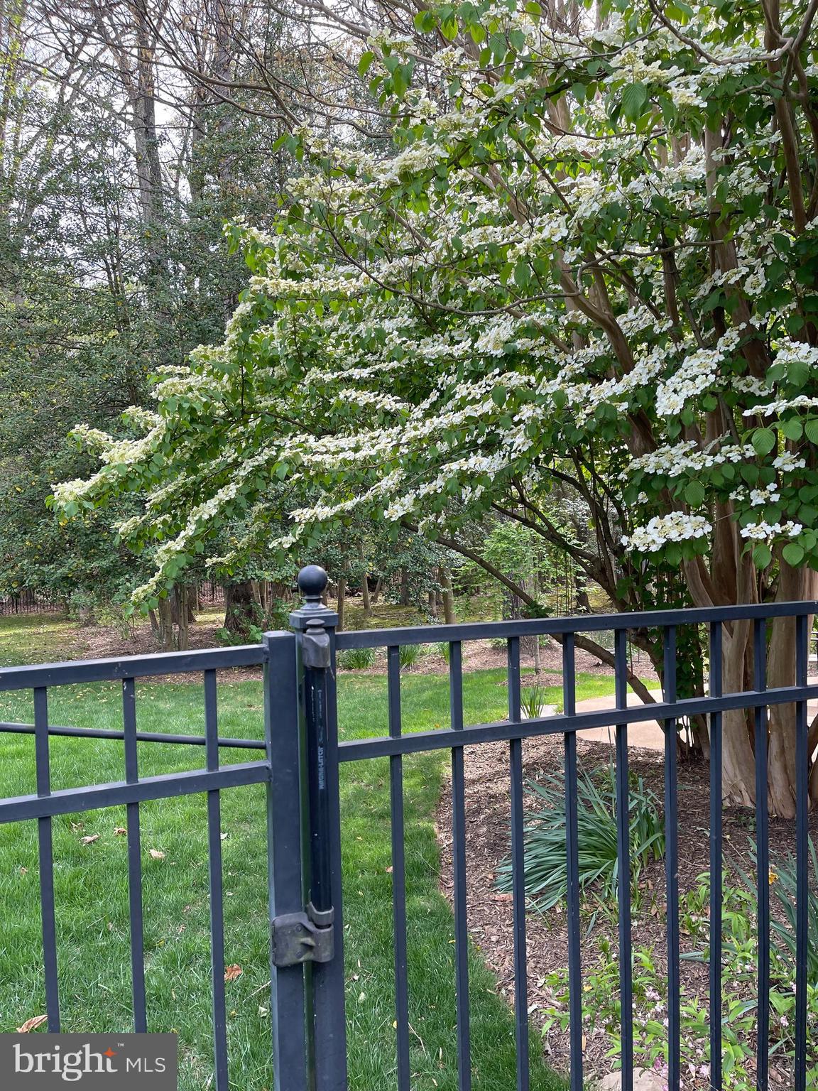 OAKTON RIDGE - Residential