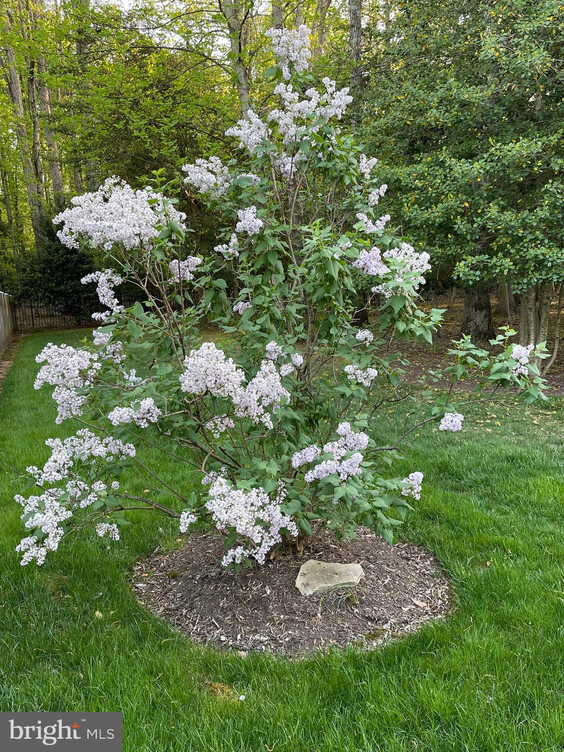 OAKTON RIDGE - Residential