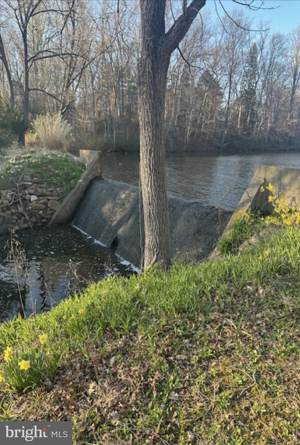 RADNOR HUNT - Residential