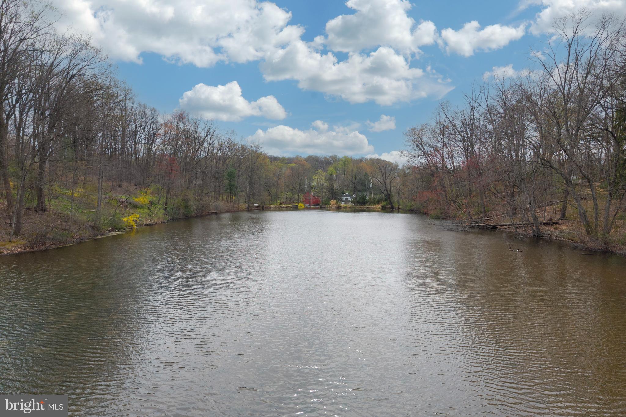 RADNOR HUNT - Residential