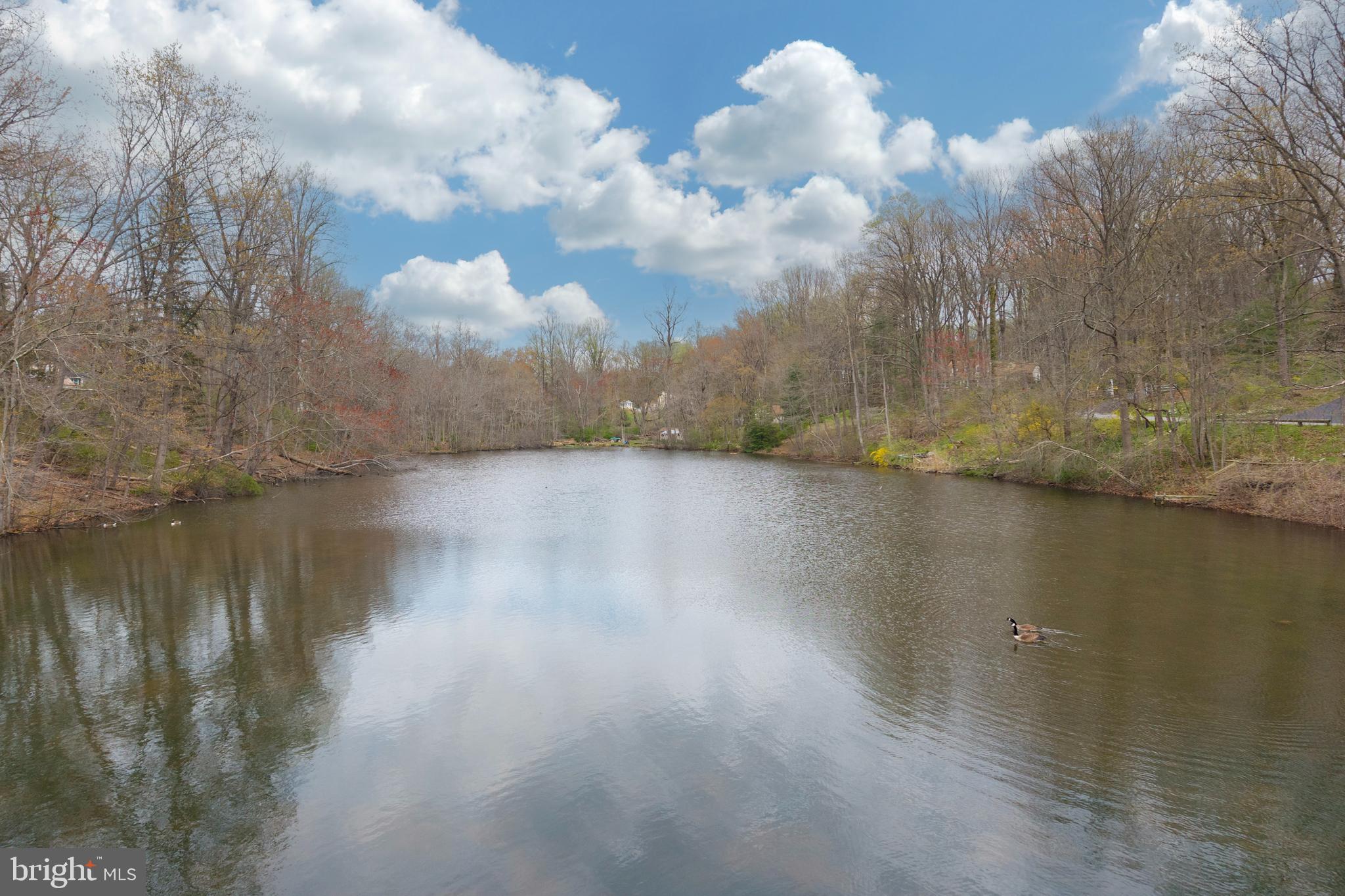 RADNOR HUNT - Residential