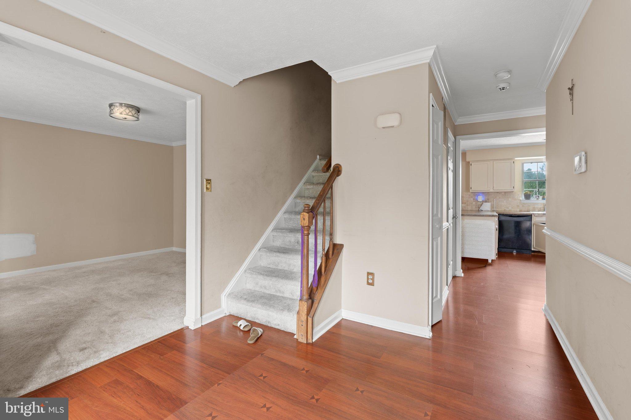 56 BERTRAM BOULEVARD