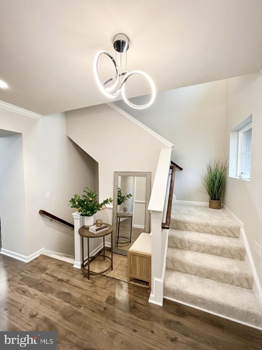MAYFAIR - Residential
