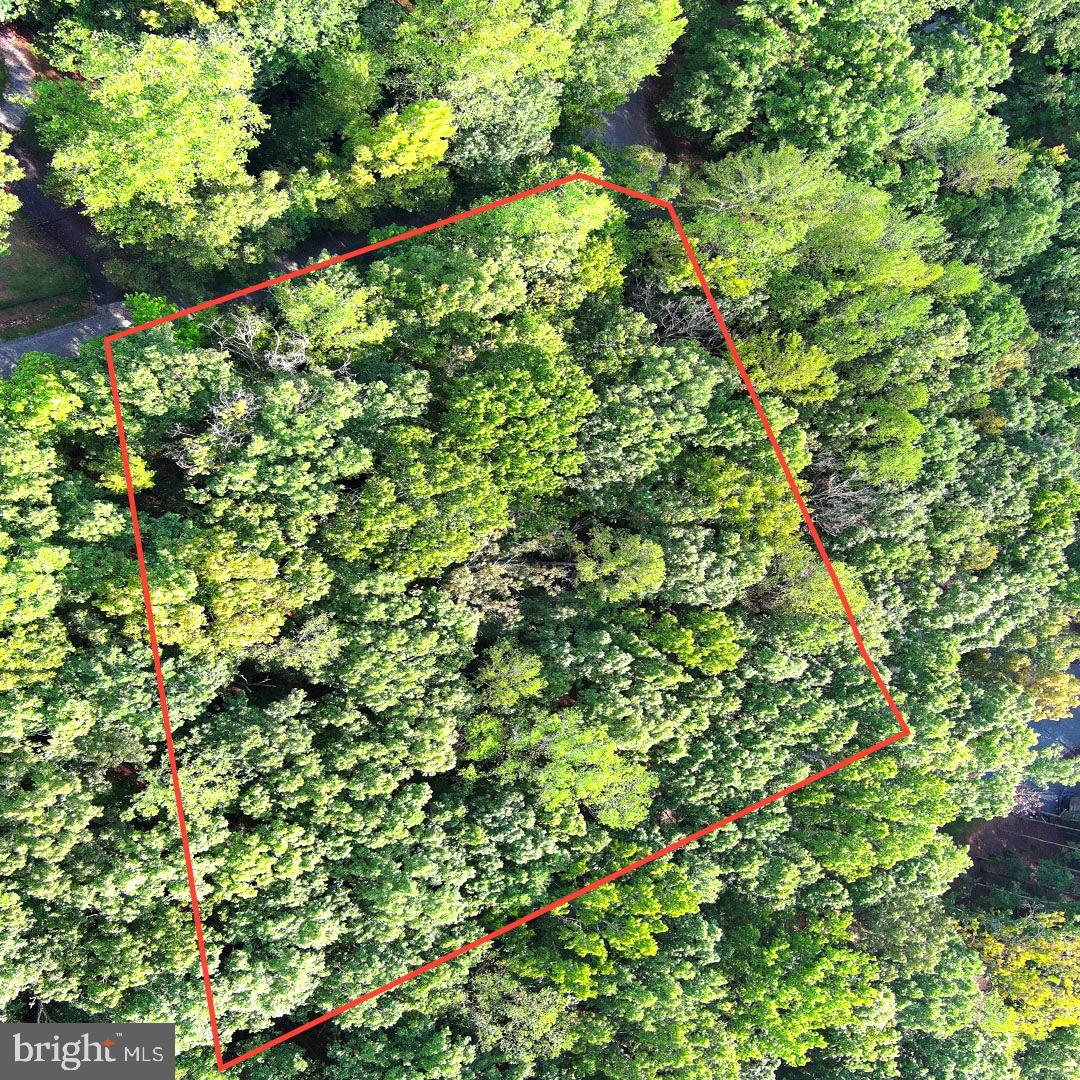 SECLUSION ESTATES - Land