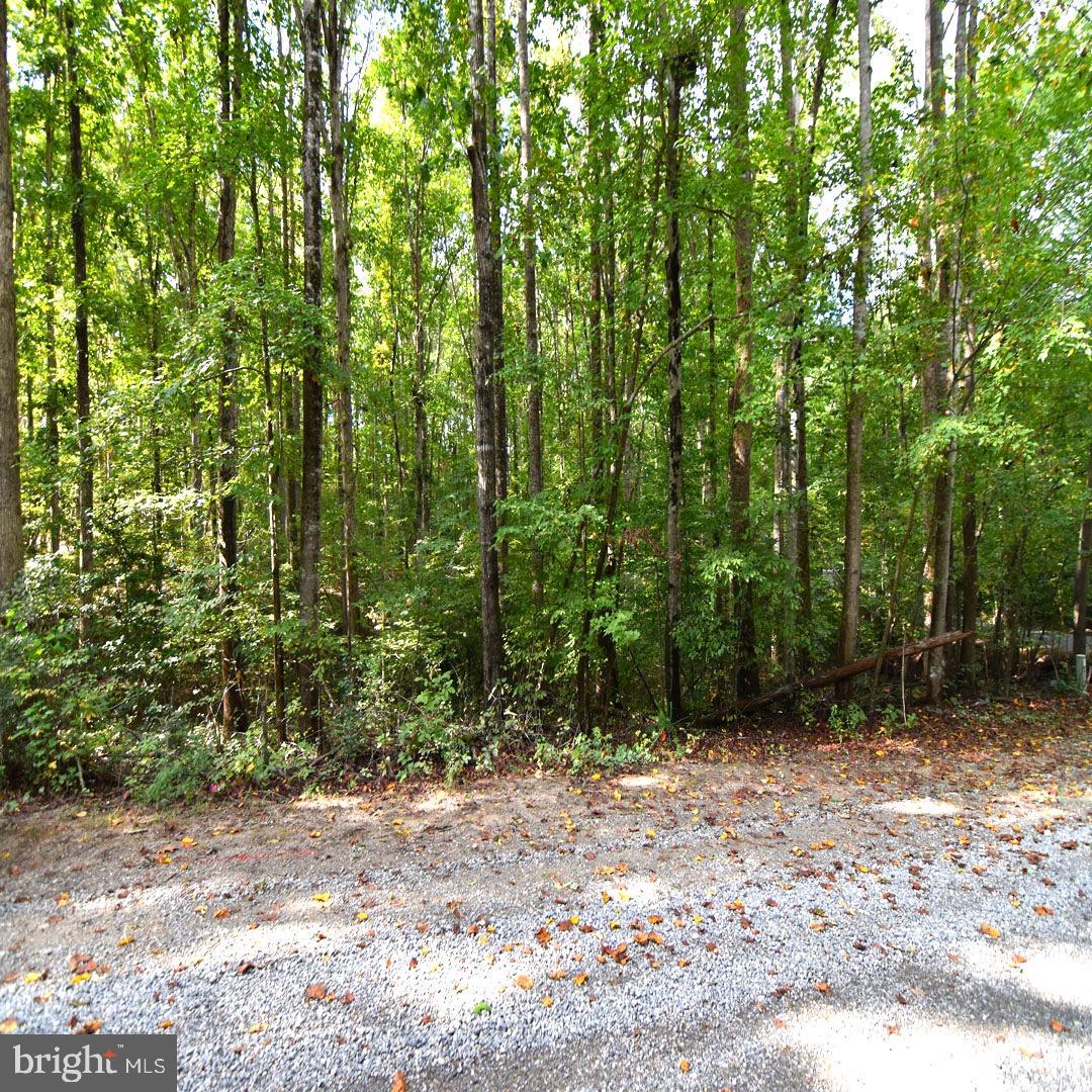 SECLUSION ESTATES - Land