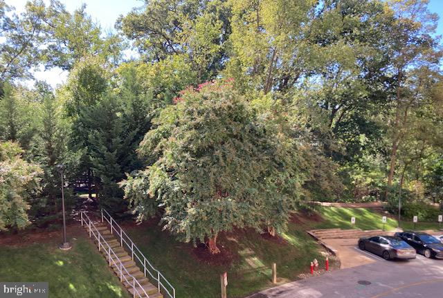 MONTEBELLO - Residential Lease