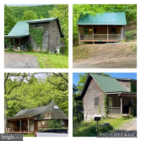 219 Fox Squirrel Lane, Cabins, WV MLS: WVGT2000894
