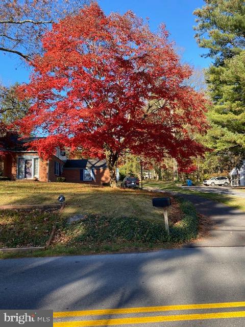 FOUNTAIN HEAD - Residential