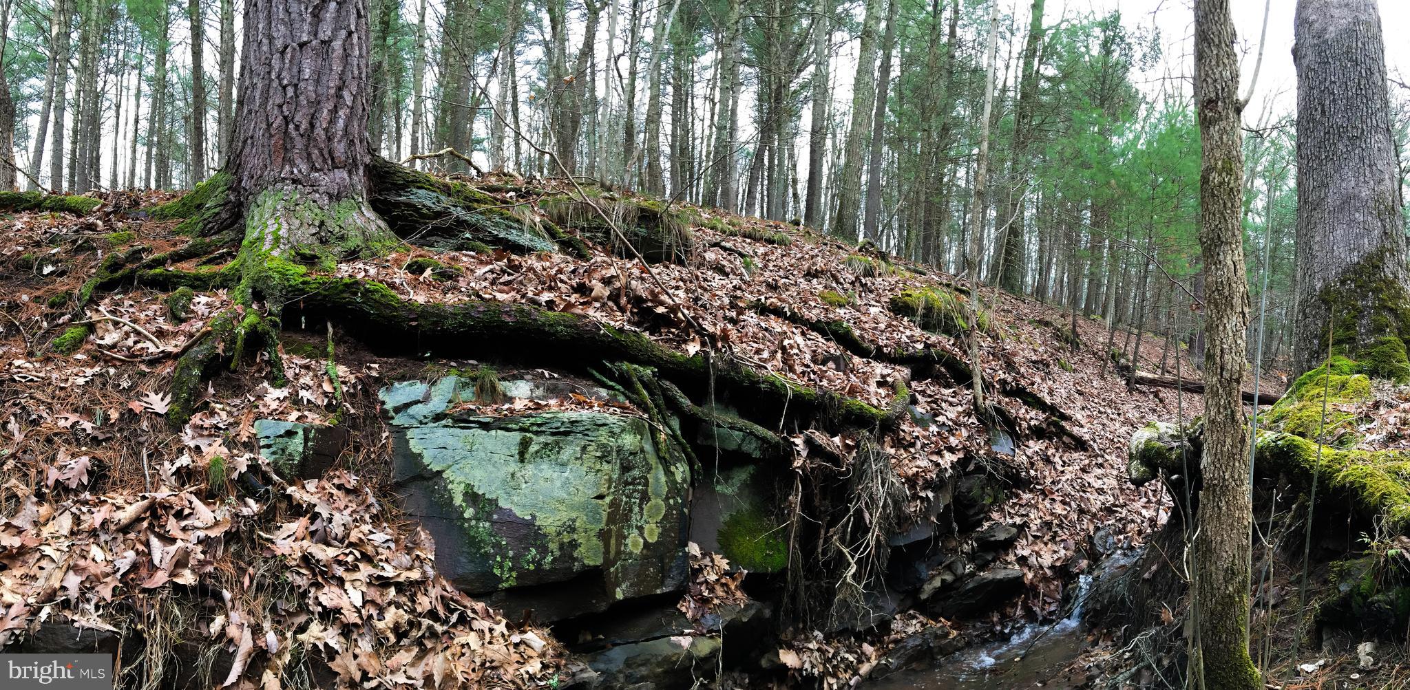 POTOMAC HIGHLAND FARMS - Residential