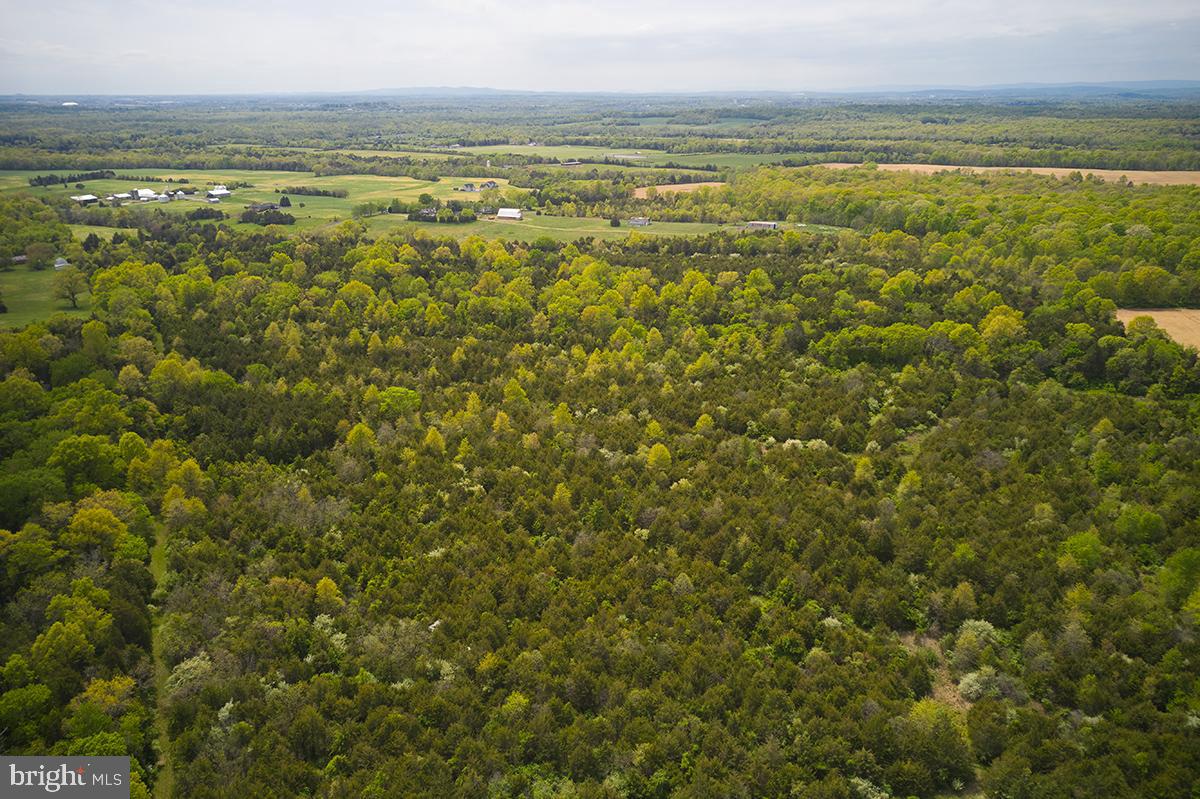 POOLESVILLE OUTSIDE - Land
