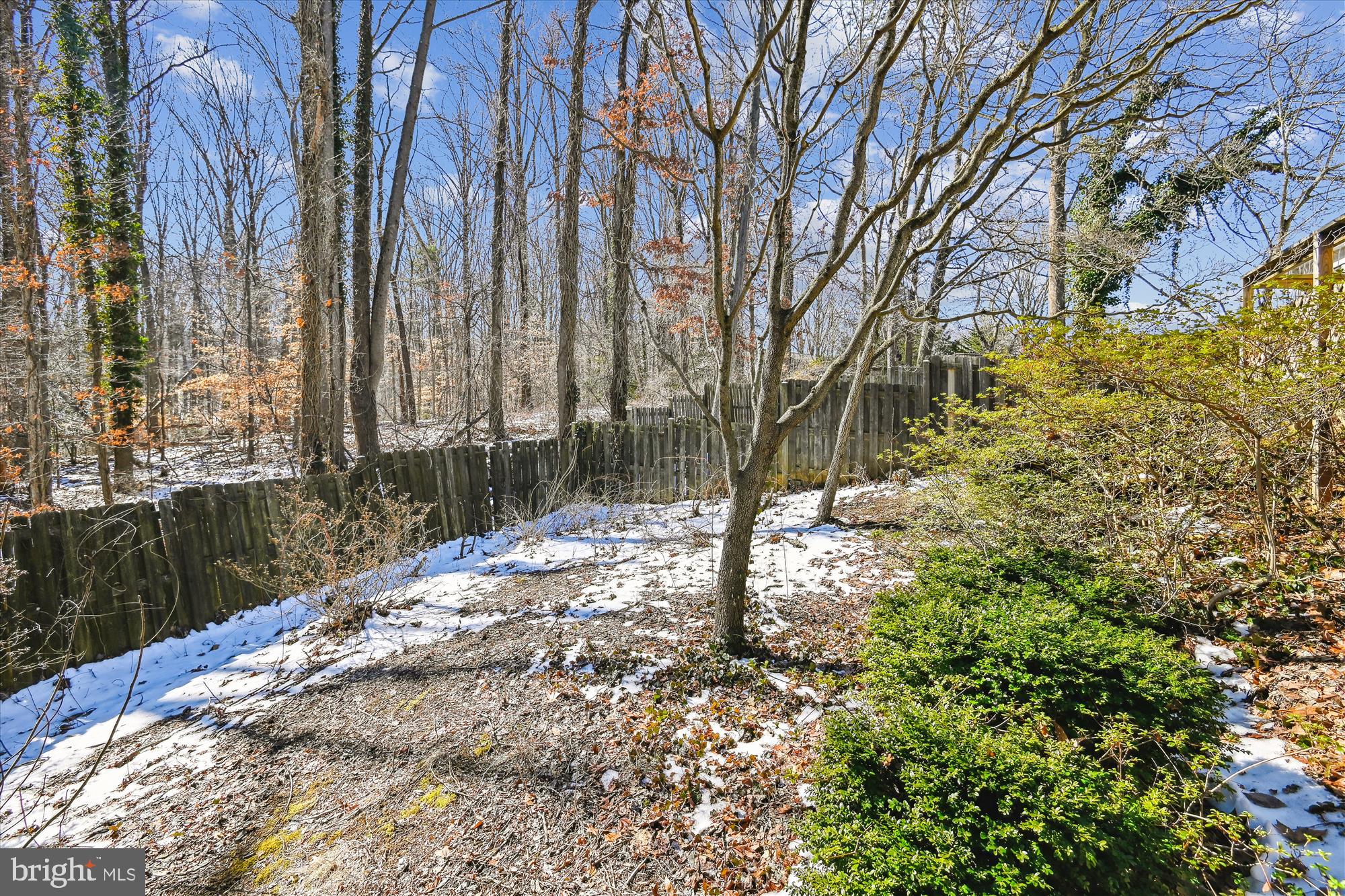 BRIGHTLEAF - Residential