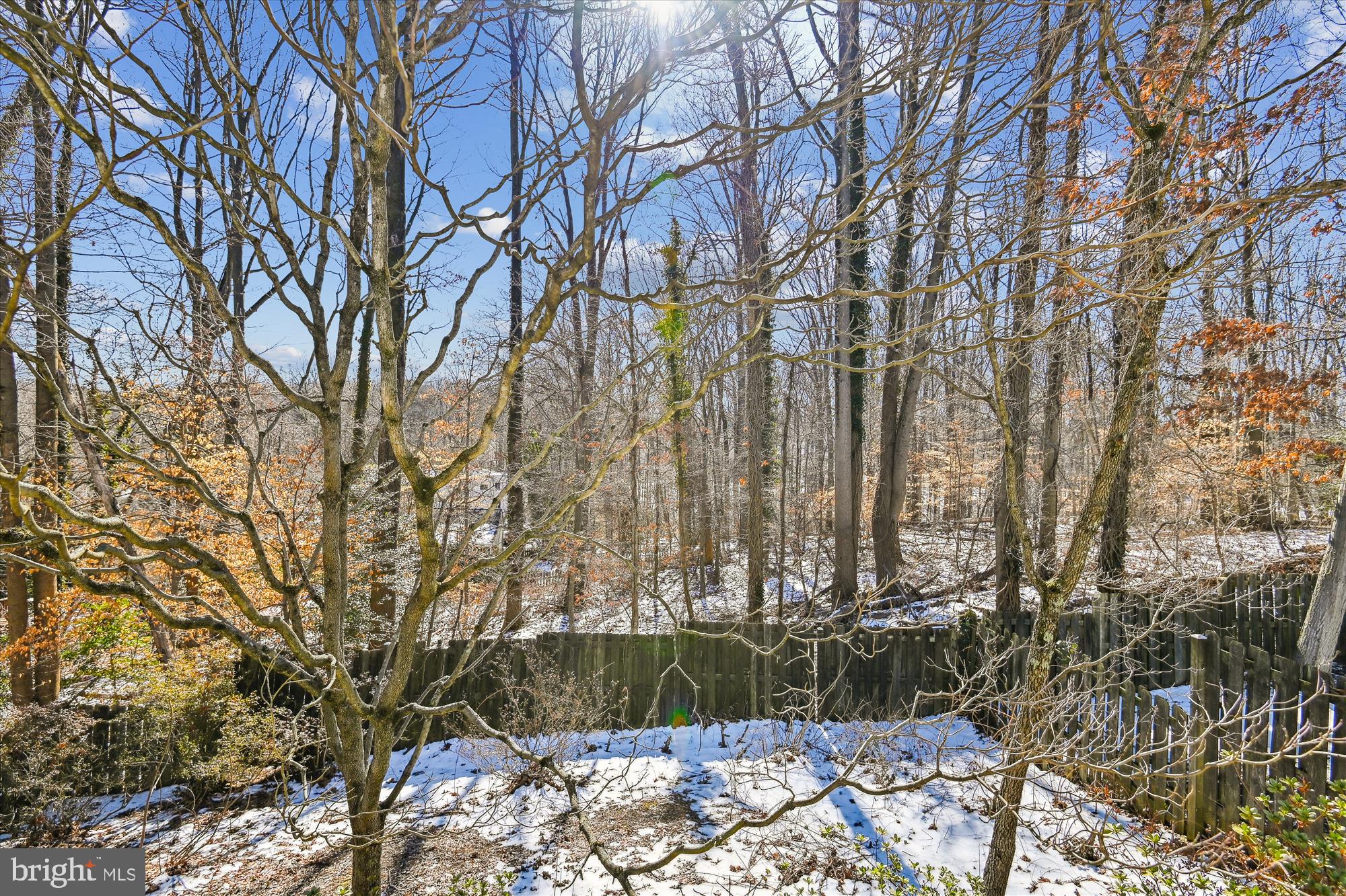 BRIGHTLEAF - Residential