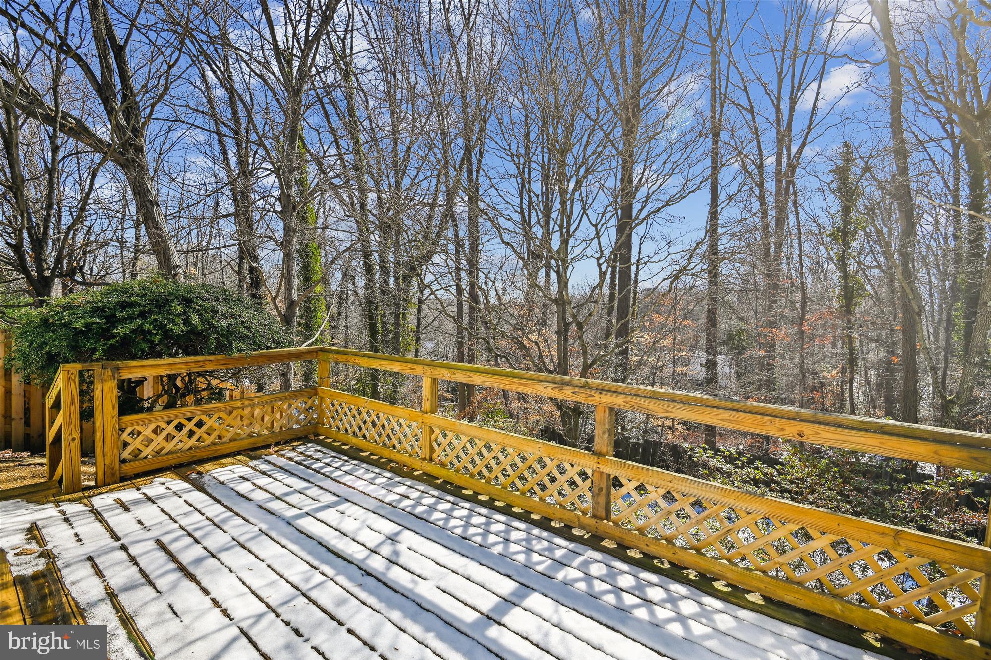 BRIGHTLEAF - Residential