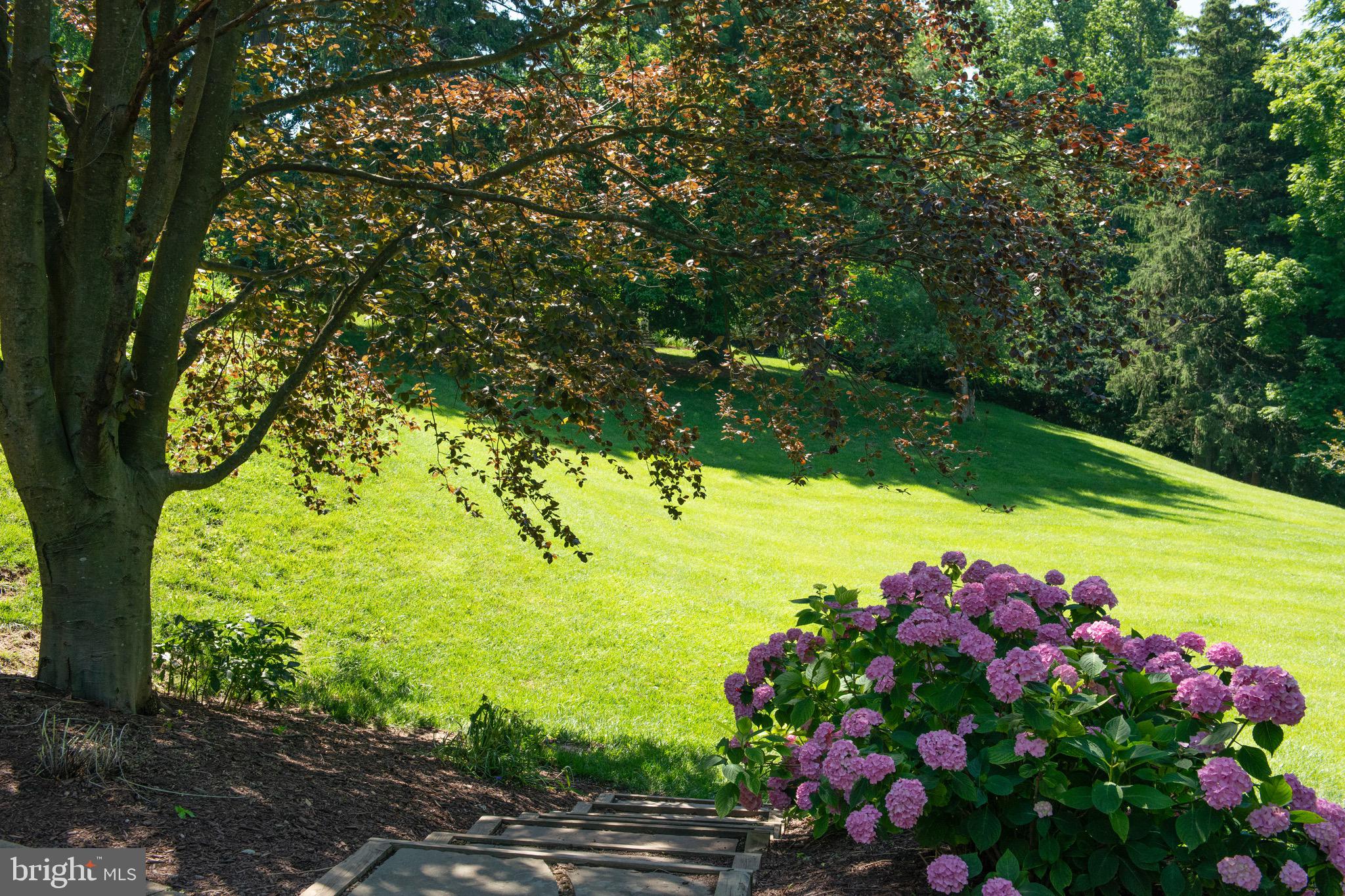 DEVON HILL - Residential