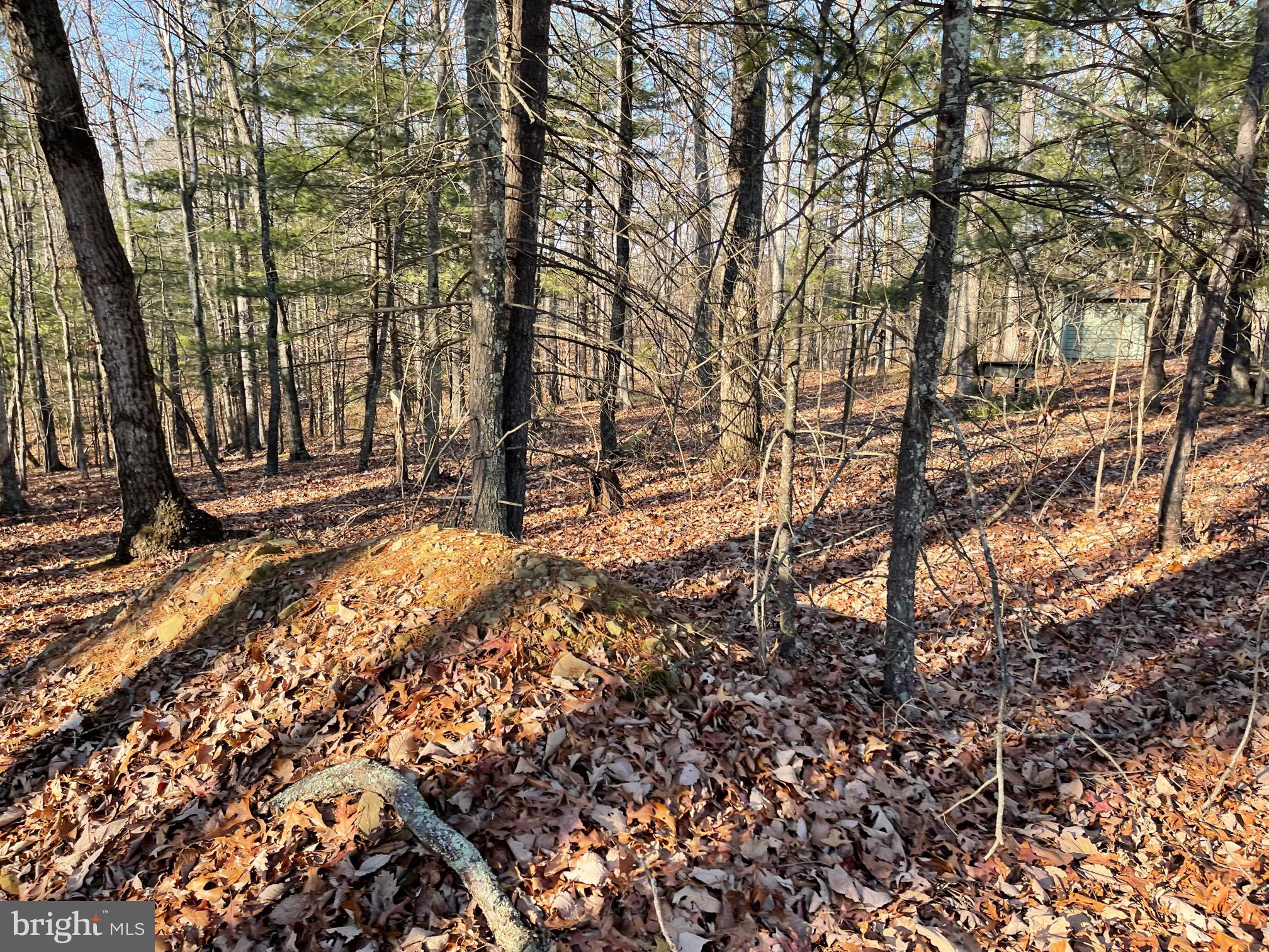 NONE AVAILABLE - Land