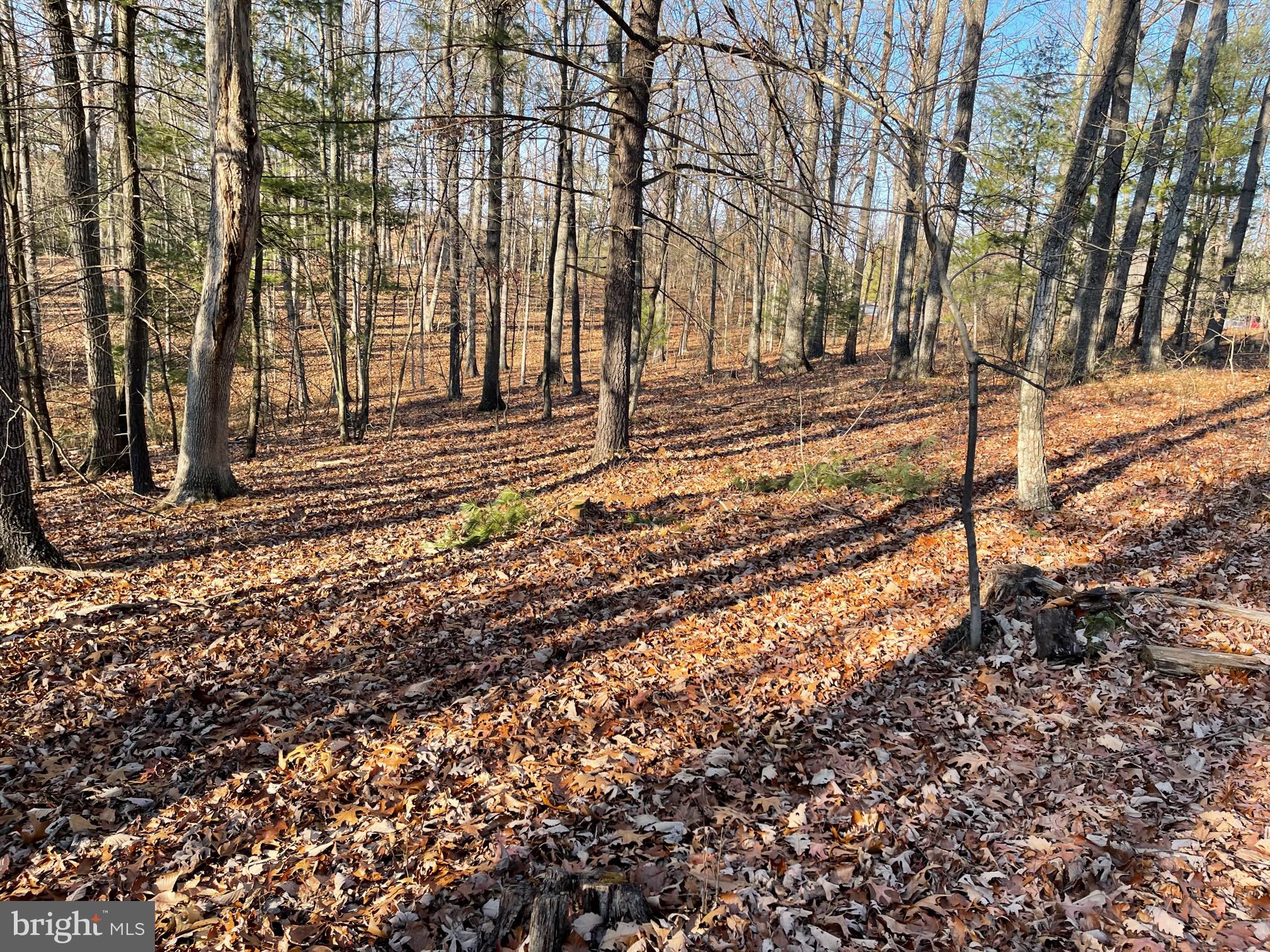 NONE AVAILABLE - Land