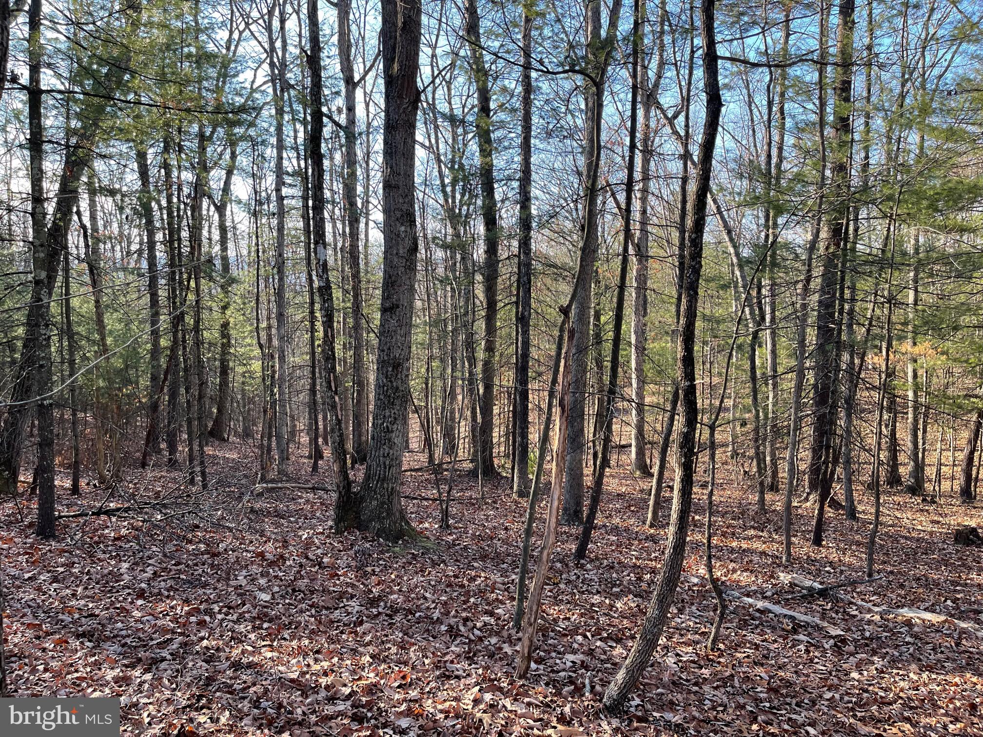 NONE AVAILABLE - Land