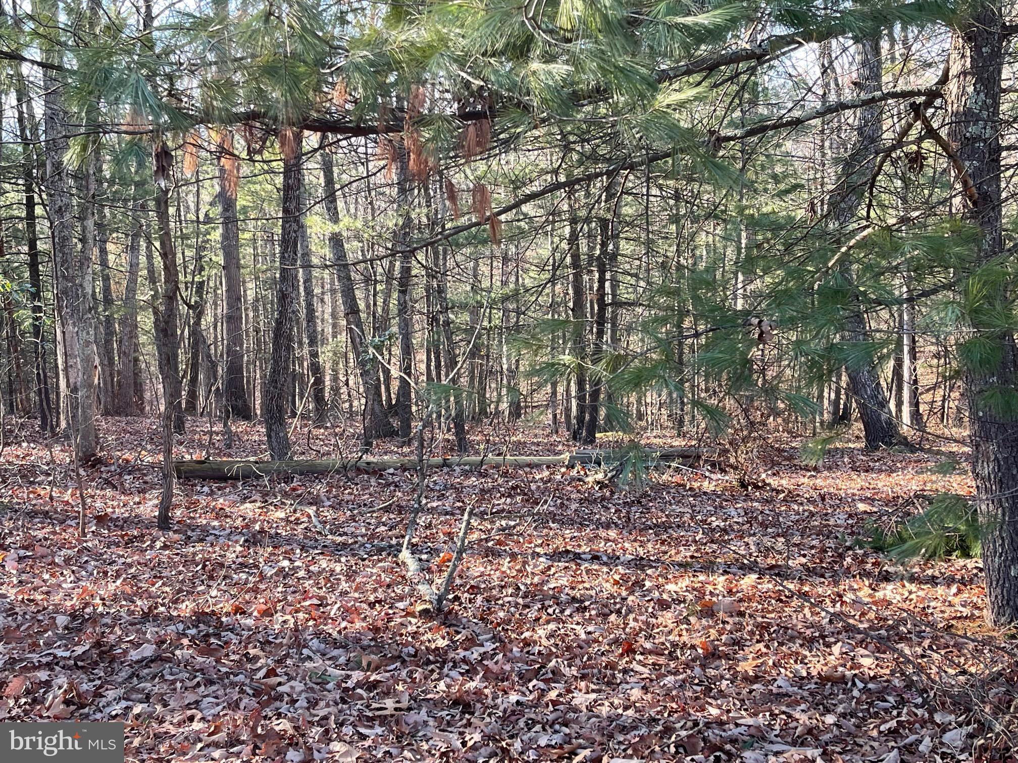 NONE AVAILABLE - Land