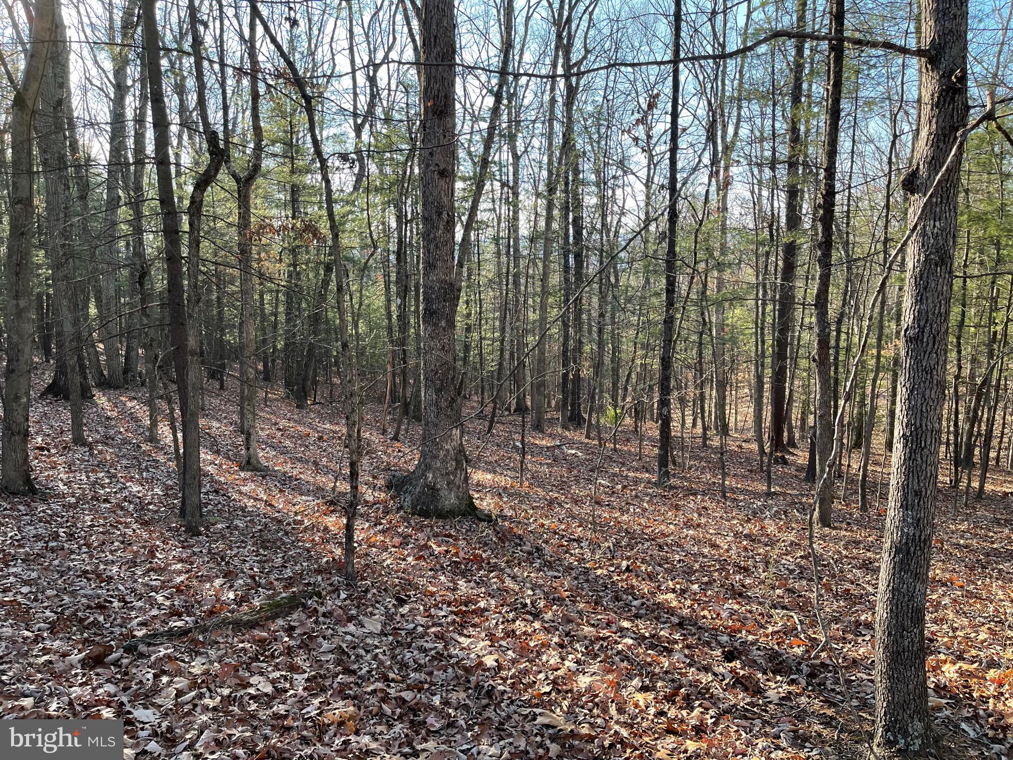 NONE AVAILABLE - Land