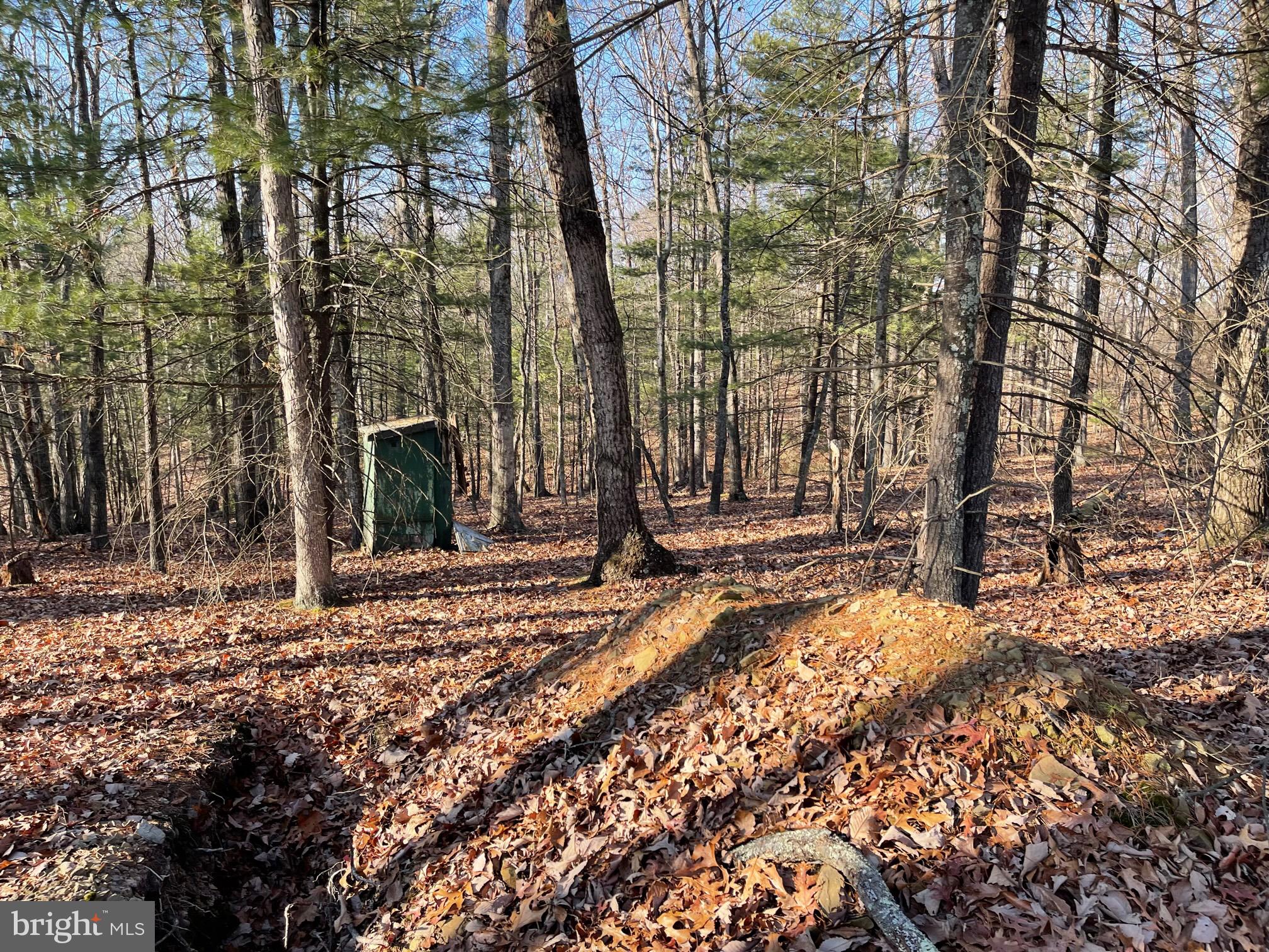 NONE AVAILABLE - Land