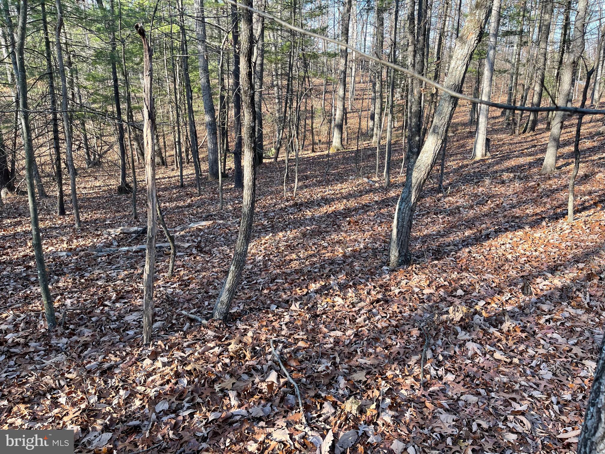 NONE AVAILABLE - Land